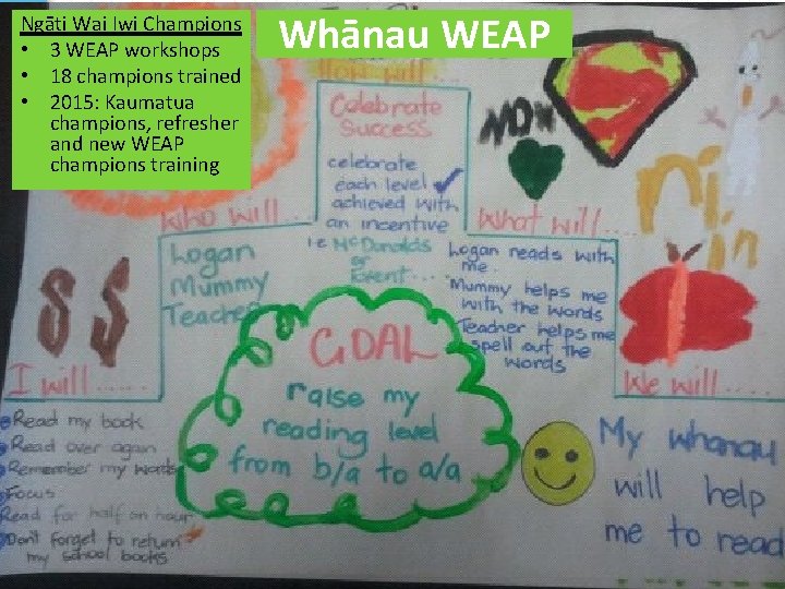 Ngāti Wai Iwi Champions • 3 WEAP workshops • 18 champions trained • 2015: