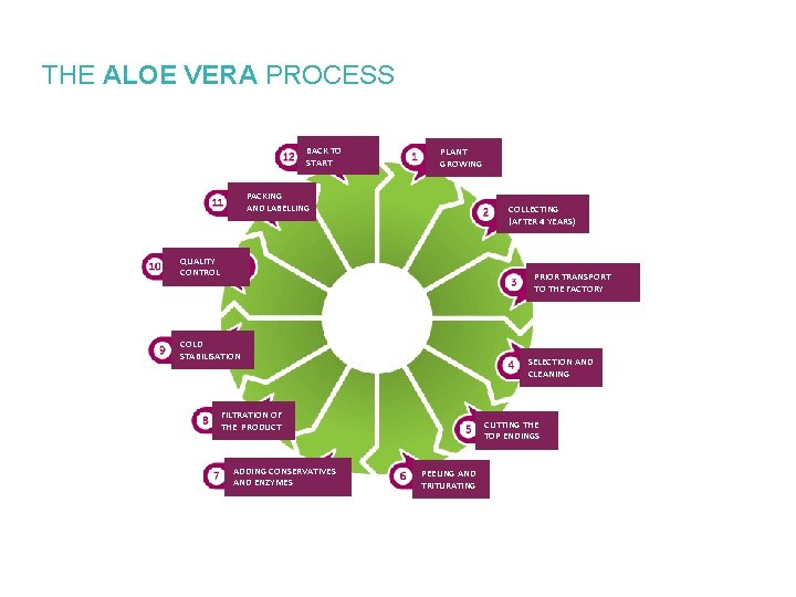 THE ALOE VERA PROCESS BACK TO START PLANT GROWING PACKING AND LABELLING COLLECTING (AFTER