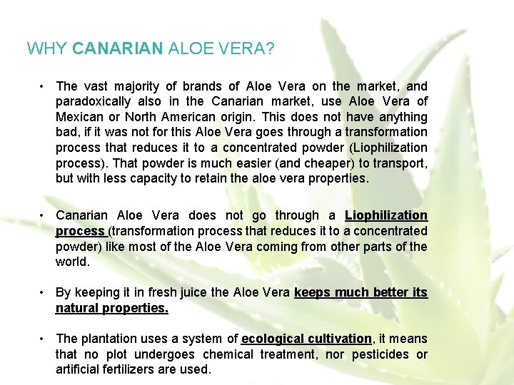 WHY CANARIAN ALOE VERA? • The vast majority of brands of Aloe Vera on