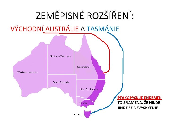 ZEMĚPISNÉ ROZŠÍŘENÍ: VÝCHODNÍ AUSTRÁLIE A TASMÁNIE PTAKOPYSK JE ENDEMIT: TO ZNAMENÁ, ŽE NIKDE JINDE