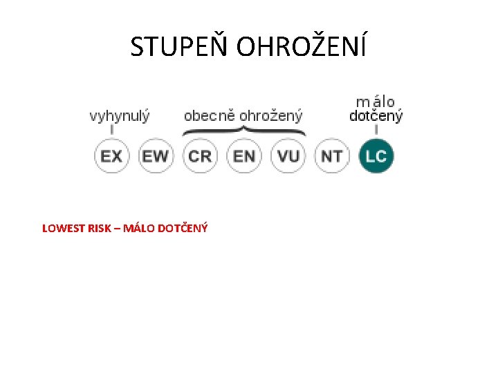 STUPEŇ OHROŽENÍ LOWEST RISK – MÁLO DOTČENÝ 