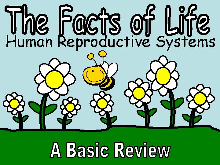 Human Reproductive Systems 