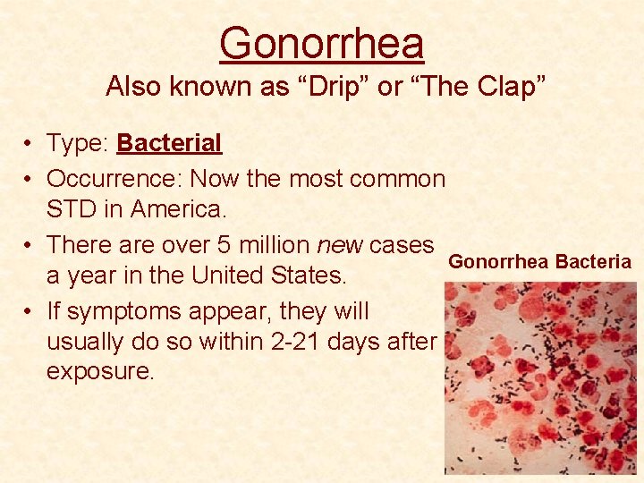 Gonorrhea Also known as “Drip” or “The Clap” • Type: Bacterial • Occurrence: Now