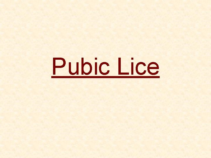 Pubic Lice 