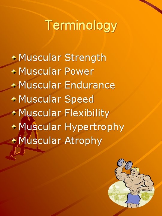 Terminology Muscular Muscular Strength Power Endurance Speed Flexibility Hypertrophy Atrophy 