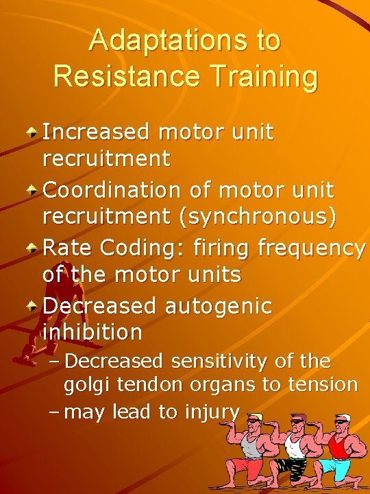 Adaptations to Resistance Training Increased motor unit recruitment Coordination of motor unit recruitment (synchronous)