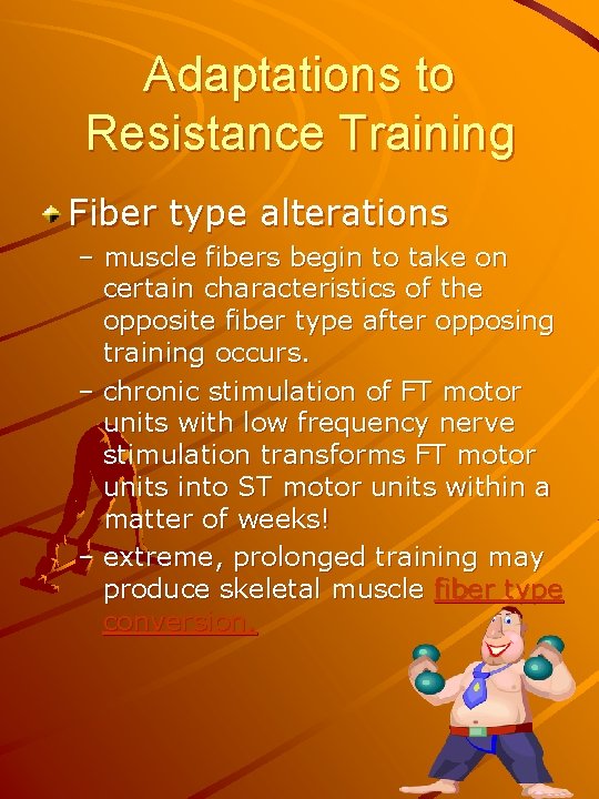 Adaptations to Resistance Training Fiber type alterations – muscle fibers begin to take on