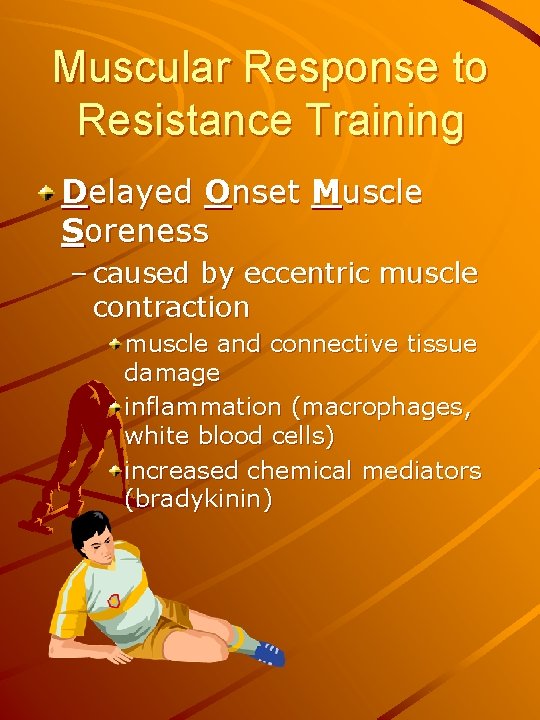 Muscular Response to Resistance Training Delayed Onset Muscle Soreness – caused by eccentric muscle