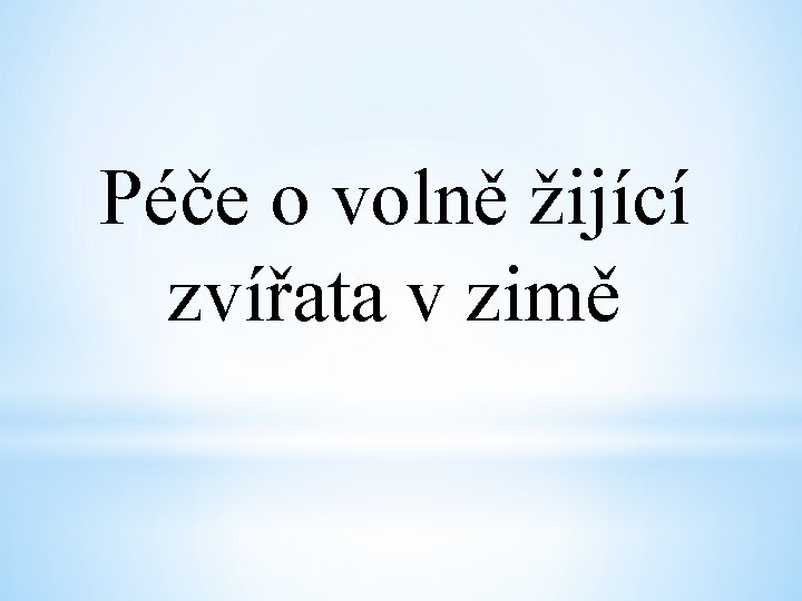 Péče o volně žijící zvířata v zimě 