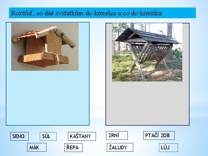 Roztřiď, co dáš zvířátkům do krmelce a co do krmítka: SENO SŮL MÁK KAŠTANY