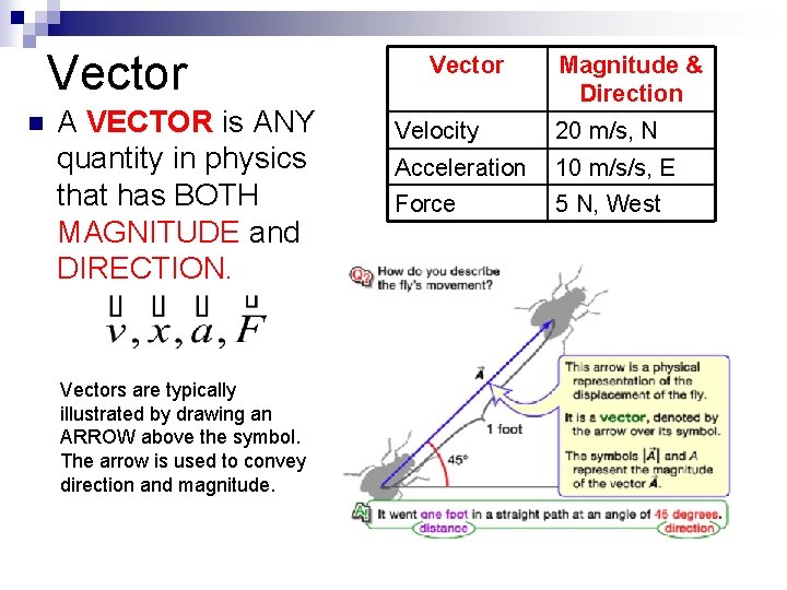 Vector n A VECTOR is ANY quantity in physics that has BOTH MAGNITUDE and
