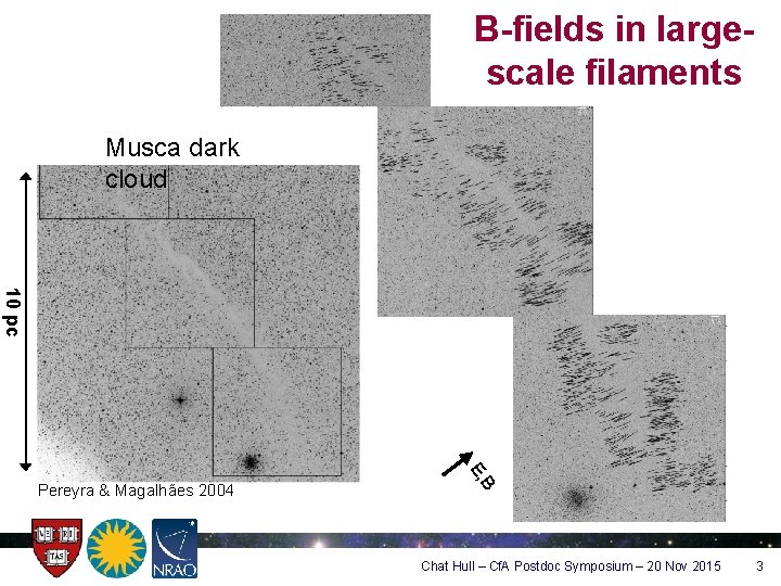 B-fields in largescale filaments Musca dark cloud 10 pc B E, Pereyra & Magalhães