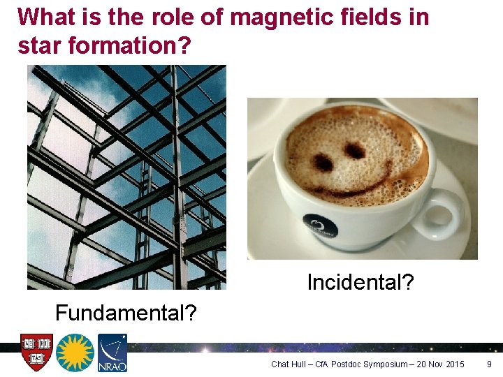 What is the role of magnetic fields in star formation? Incidental? Fundamental? Chat Hull