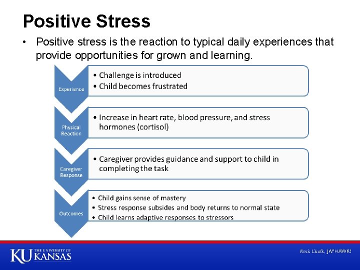 Positive Stress • Positive stress is the reaction to typical daily experiences that provide