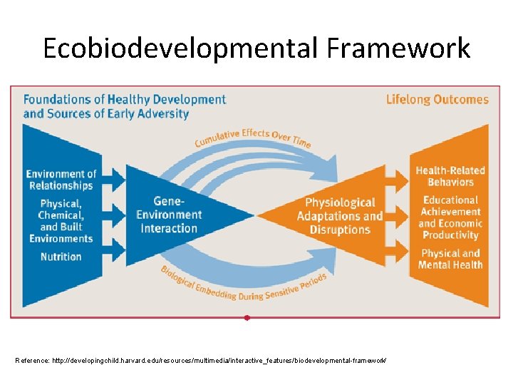 Ecobiodevelopmental Framework Reference: http: //developingchild. harvard. edu/resources/multimedia/interactive_features/biodevelopmental-framework/ 