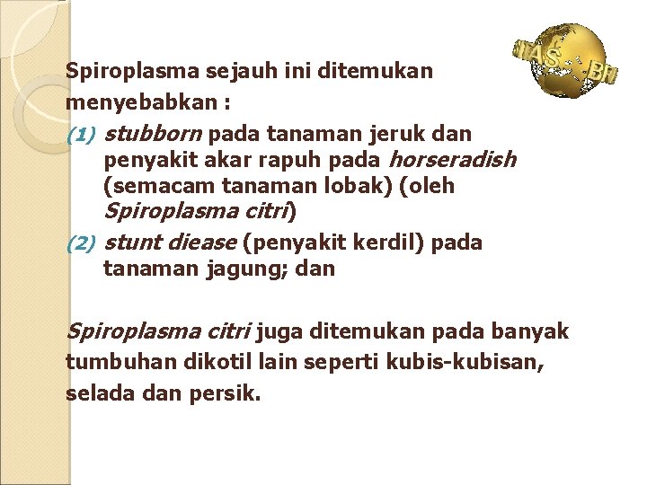 Spiroplasma sejauh ini ditemukan menyebabkan : (1) stubborn pada tanaman jeruk dan penyakit akar