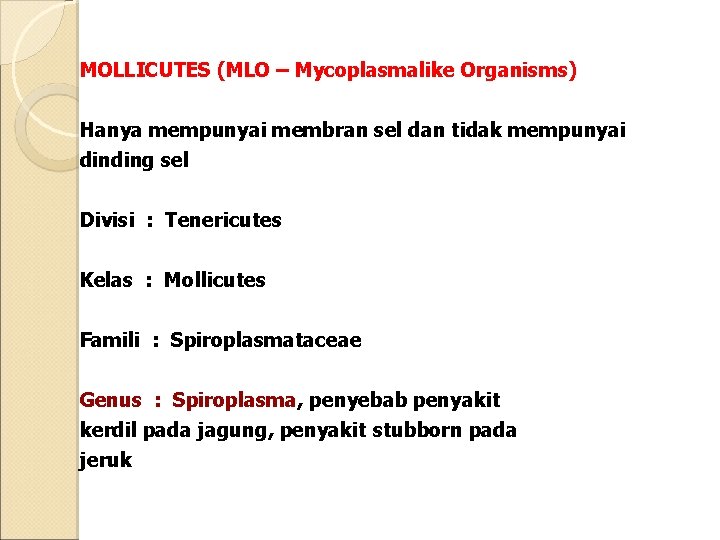 MOLLICUTES (MLO – Mycoplasmalike Organisms) Hanya mempunyai membran sel dan tidak mempunyai dinding sel