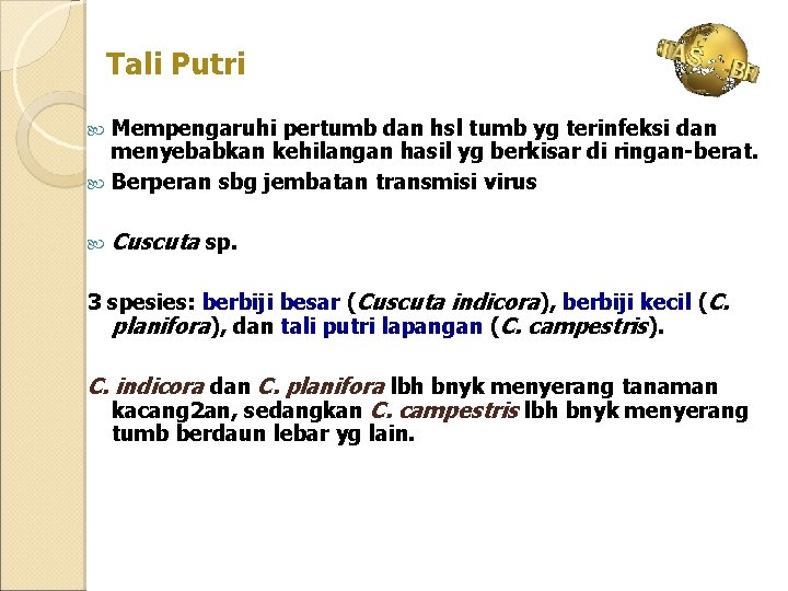 Tali Putri Mempengaruhi pertumb dan hsl tumb yg terinfeksi dan menyebabkan kehilangan hasil yg