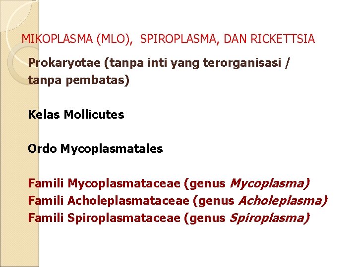 MIKOPLASMA (MLO), SPIROPLASMA, DAN RICKETTSIA Prokaryotae (tanpa inti yang terorganisasi / tanpa pembatas) Kelas
