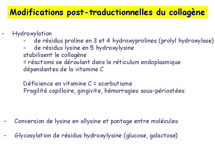 Modifications post-traductionnelles du collagène - Hydroxylation - de résidus proline en 3 et 4