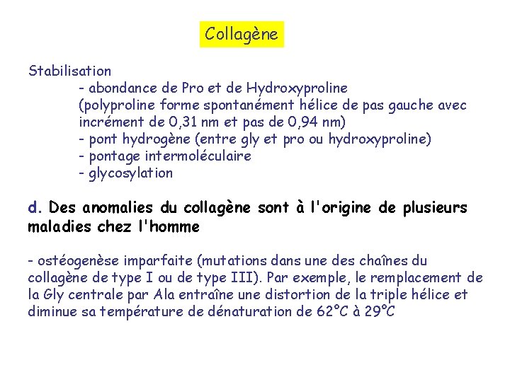 Collagène Stabilisation - abondance de Pro et de Hydroxyproline (polyproline forme spontanément hélice de