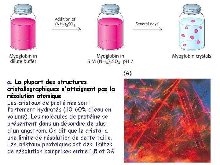 a. La plupart des structures cristallographiques n'atteignent pas la résolution atomique Les cristaux de