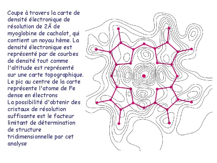 Coupe à travers la carte de densité électronique de résolution de 2Å de myoglobine