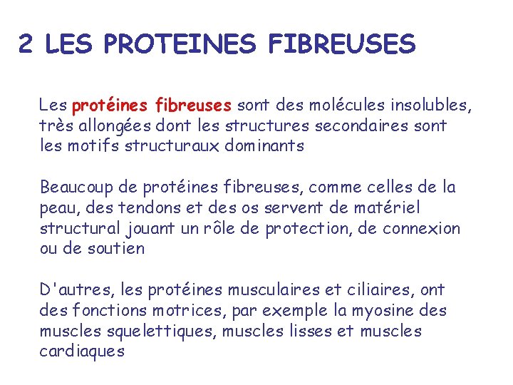 2 LES PROTEINES FIBREUSES Les protéines fibreuses sont des molécules insolubles, très allongées dont