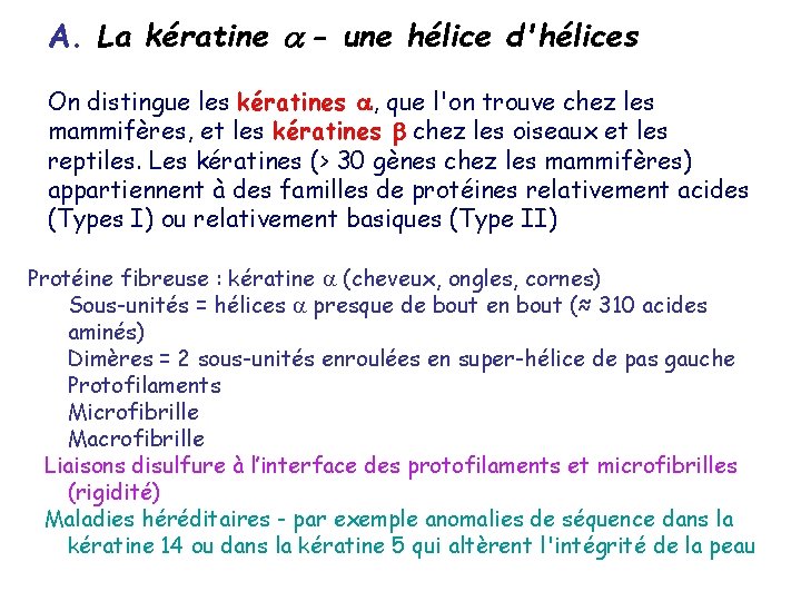 A. La kératine - une hélice d'hélices On distingue les kératines , que l'on