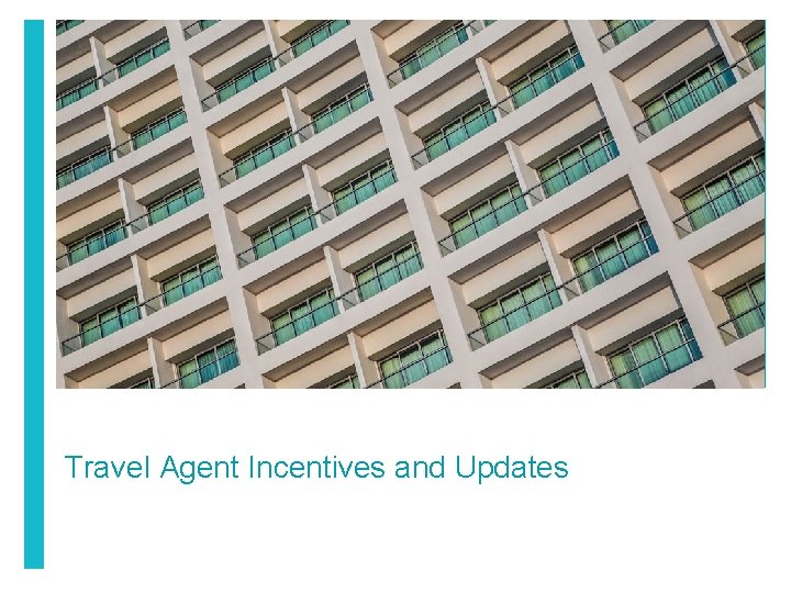 Travel Agent Incentives and Updates 