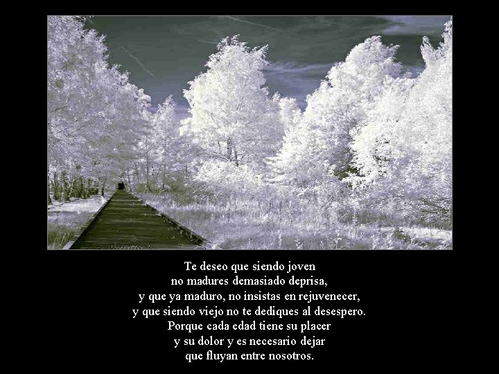 Te deseo que siendo joven no madures demasiado deprisa, y que ya maduro, no Te deseo que siendo joven no madures demasiado deprisa, y que ya maduro, no