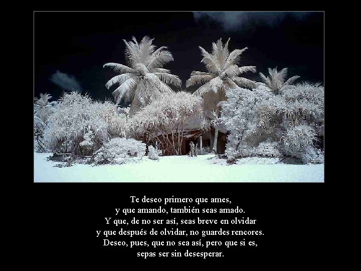 Te deseo primero que ames, y que amando, también seas amado. Y que, de Te deseo primero que ames, y que amando, también seas amado. Y que, de
