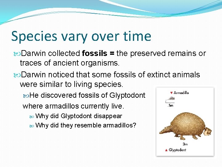 Species vary over time Darwin collected fossils = the preserved remains or traces of