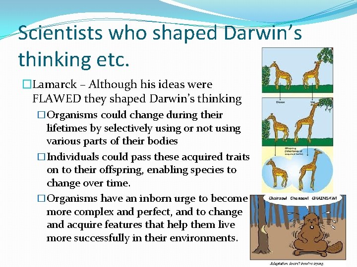 Scientists who shaped Darwin’s thinking etc. �Lamarck – Although his ideas were FLAWED they