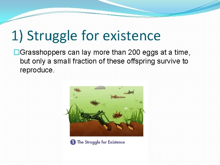 1) Struggle for existence �Grasshoppers can lay more than 200 eggs at a time,