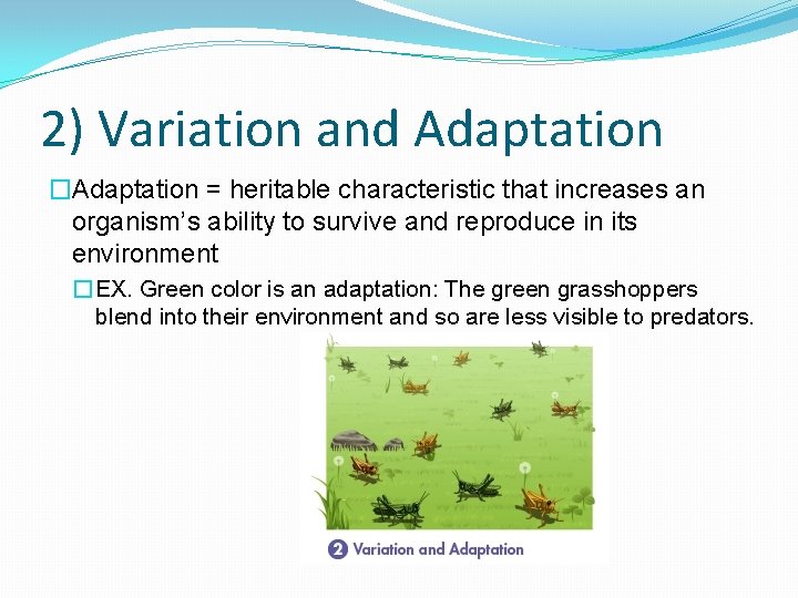 2) Variation and Adaptation �Adaptation = heritable characteristic that increases an organism’s ability to