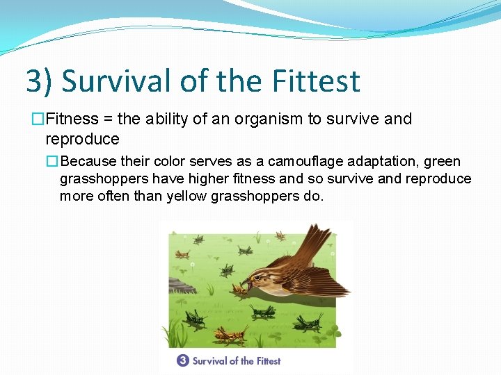 3) Survival of the Fittest �Fitness = the ability of an organism to survive