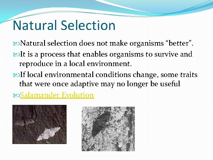 Natural Selection Natural selection does not make organisms “better”. It is a process that