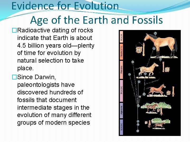 Evidence for Evolution Age of the Earth and Fossils �Radioactive dating of rocks indicate