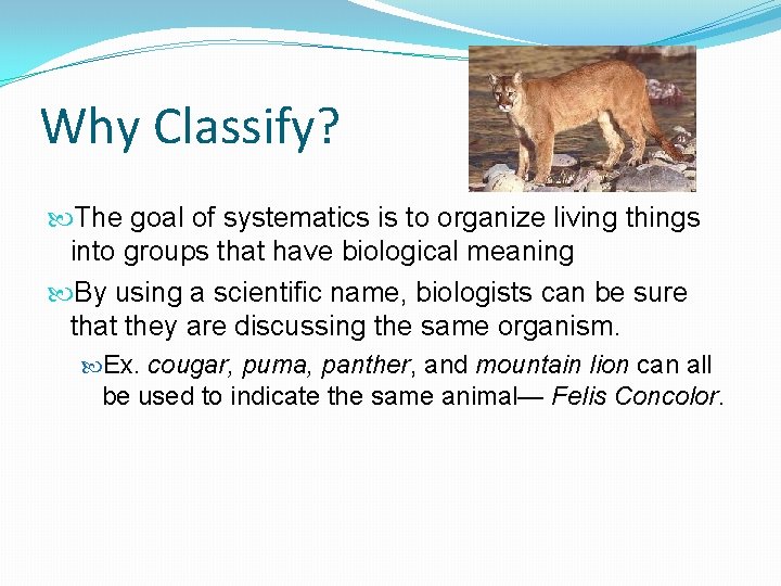 Why Classify? The goal of systematics is to organize living things into groups that