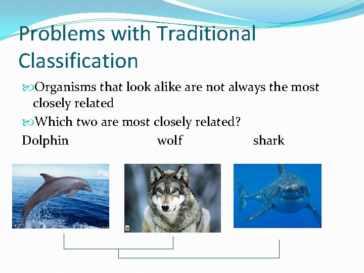 Problems with Traditional Classification Organisms that look alike are not always the most closely
