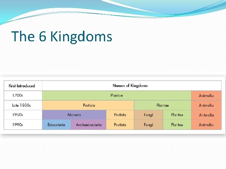 The 6 Kingdoms 