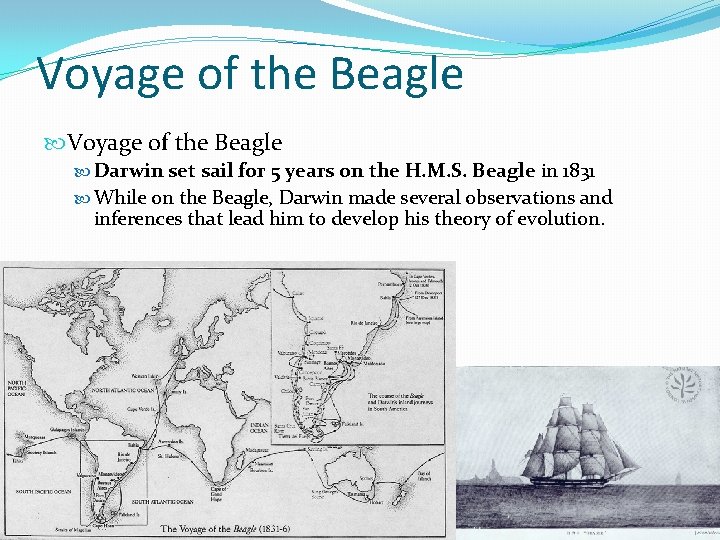 Voyage of the Beagle Darwin set sail for 5 years on the H. M.