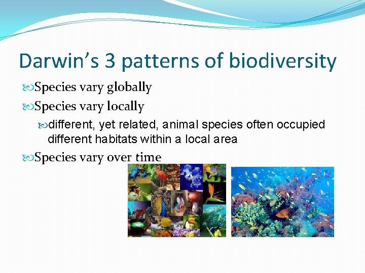 Darwin’s 3 patterns of biodiversity Species vary globally Species vary locally different, yet related,