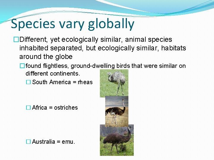 Species vary globally �Different, yet ecologically similar, animal species inhabited separated, but ecologically similar,