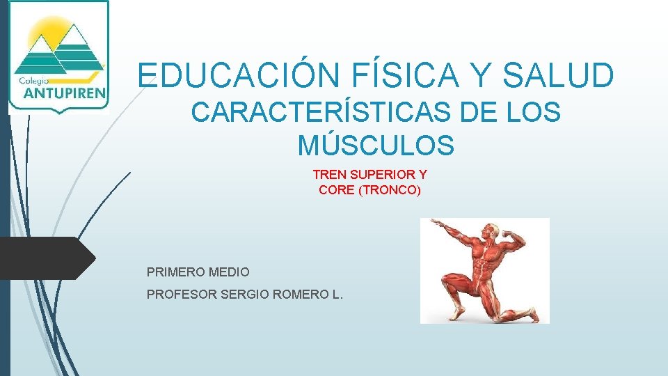 EDUCACIÓN FÍSICA Y SALUD CARACTERÍSTICAS DE LOS MÚSCULOS TREN SUPERIOR Y CORE (TRONCO) PRIMERO