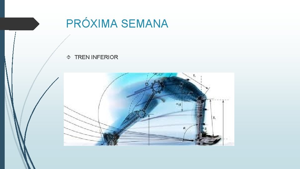 PRÓXIMA SEMANA TREN INFERIOR 