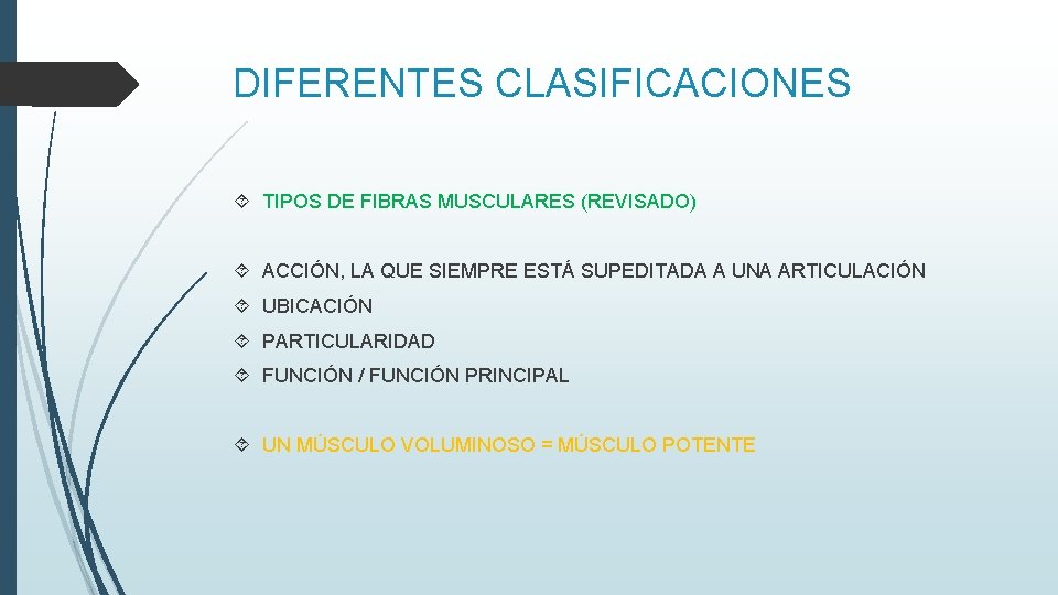DIFERENTES CLASIFICACIONES TIPOS DE FIBRAS MUSCULARES (REVISADO) ACCIÓN, LA QUE SIEMPRE ESTÁ SUPEDITADA A