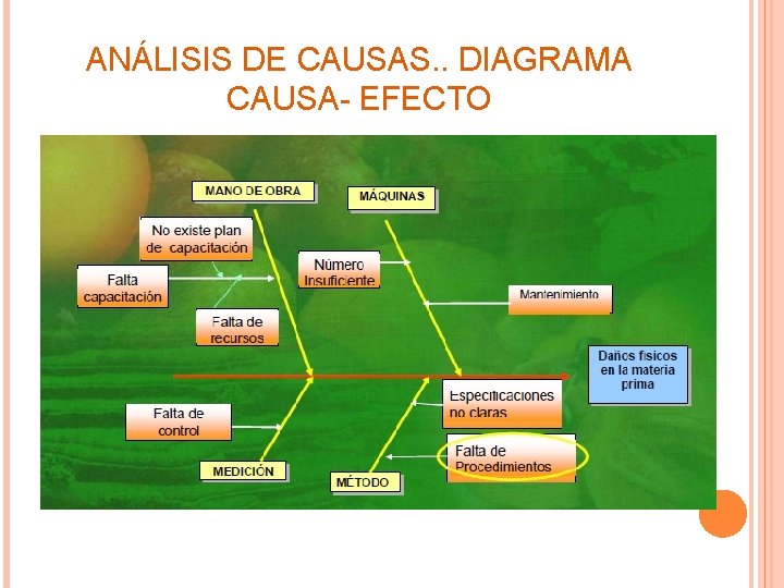 ANÁLISIS DE CAUSAS. . DIAGRAMA CAUSA- EFECTO 