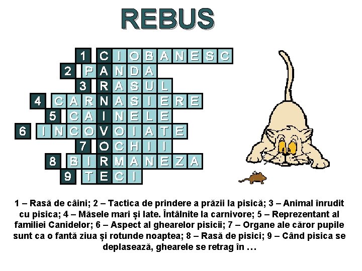 REBUS 1 2 P 3 4 C A R 5 C A 6 I